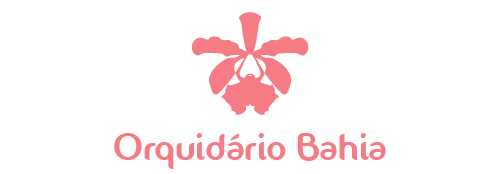 Animação Animação
